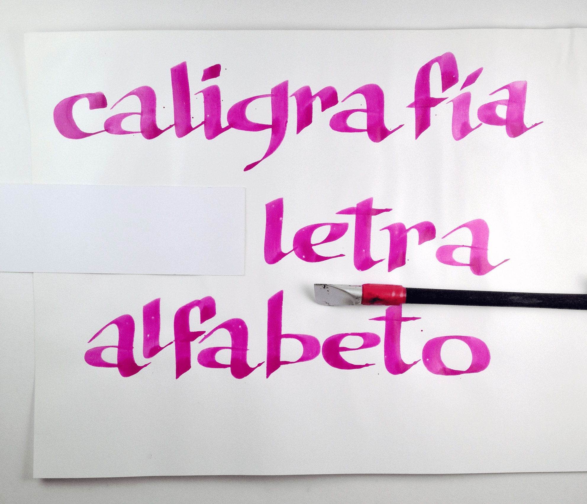 PLUMA_CASERA_PALABRAS